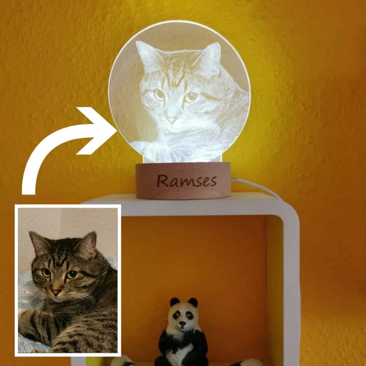 Custom Pet Photo Lamp